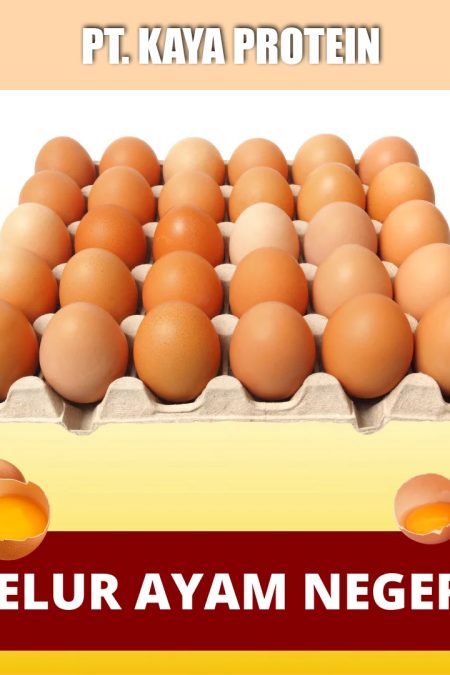 Telur Ayam