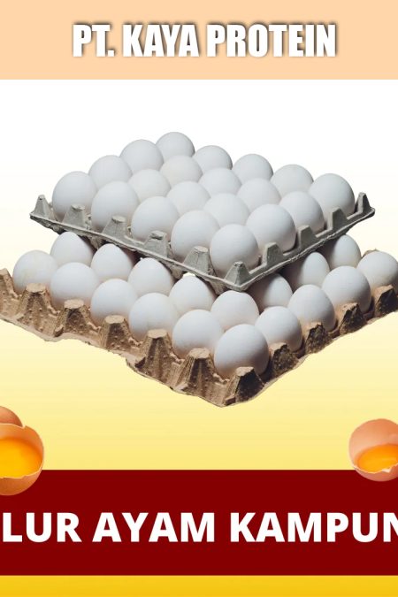 Telur Kampung