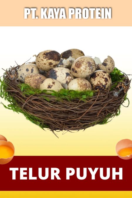 Telur Puyuh