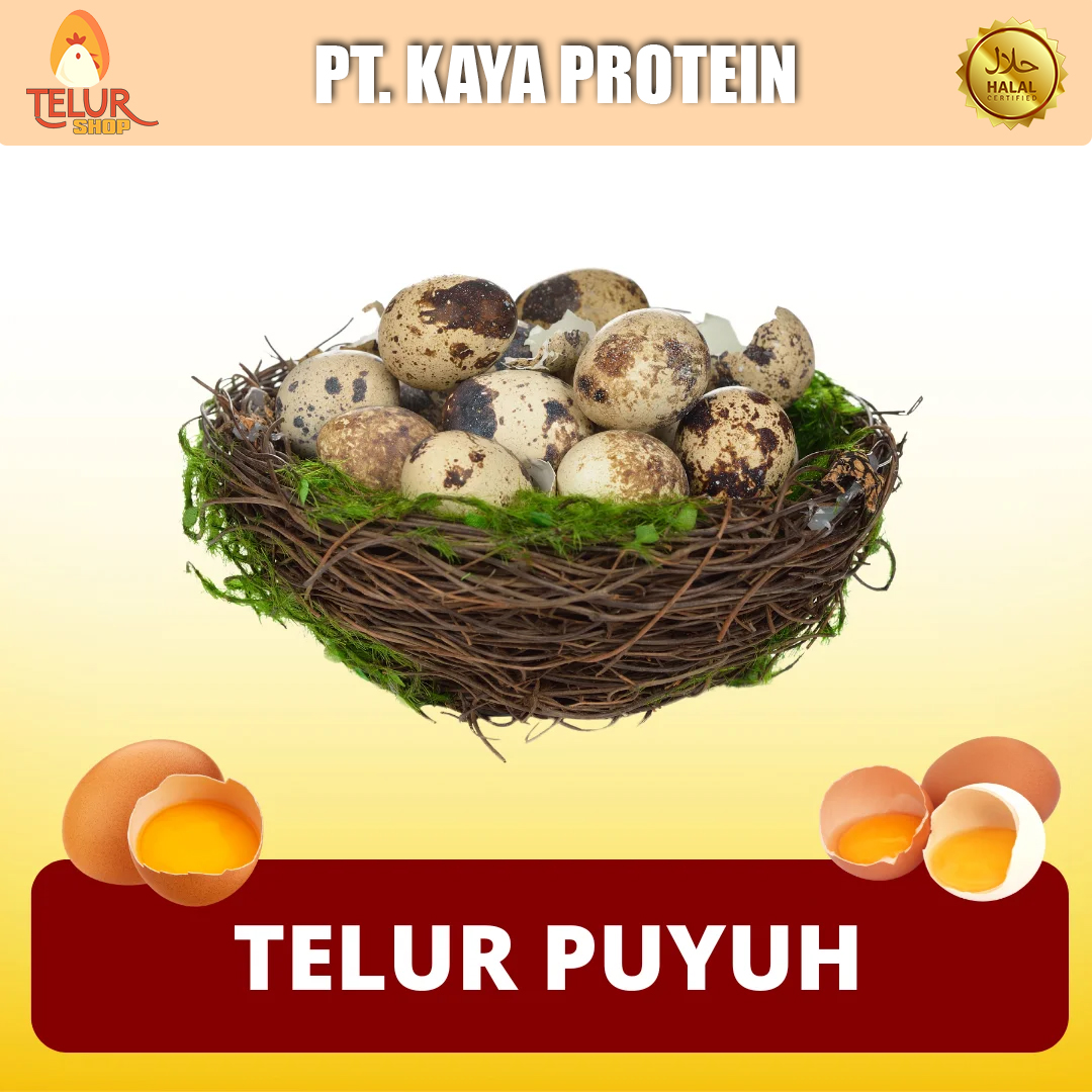 Telur Puyuh