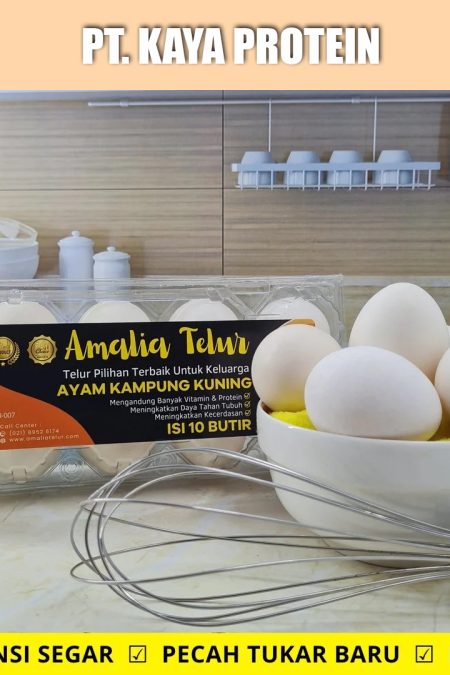 10 Butir – Telur Ayam Kampung Isi Kuning PREMIUM Garansi Segar
