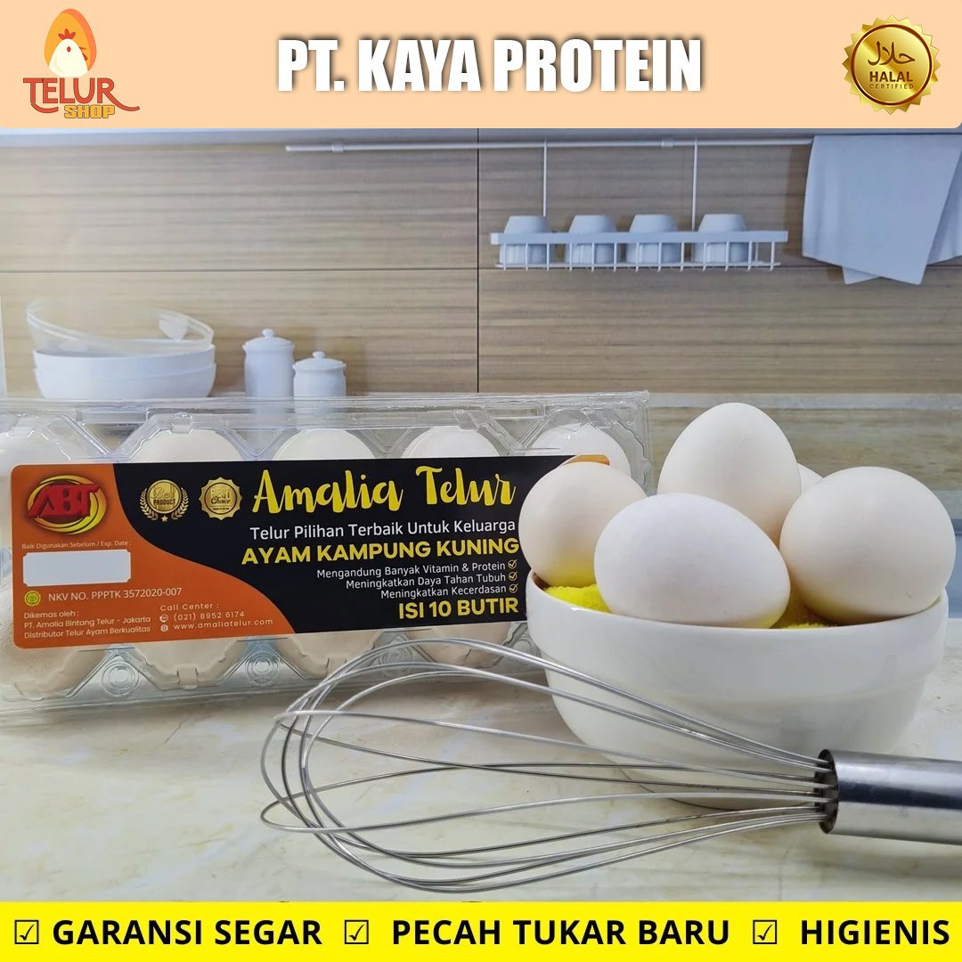 10 Butir – Telur Ayam Kampung Isi Kuning PREMIUM Garansi Segar