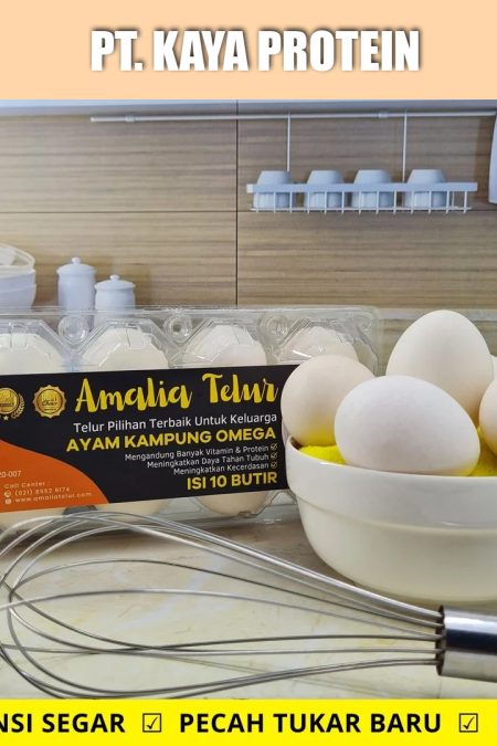 10 Butir – Telur Ayam Kampung OMEGA Telur PREMIUM Garansi Segar