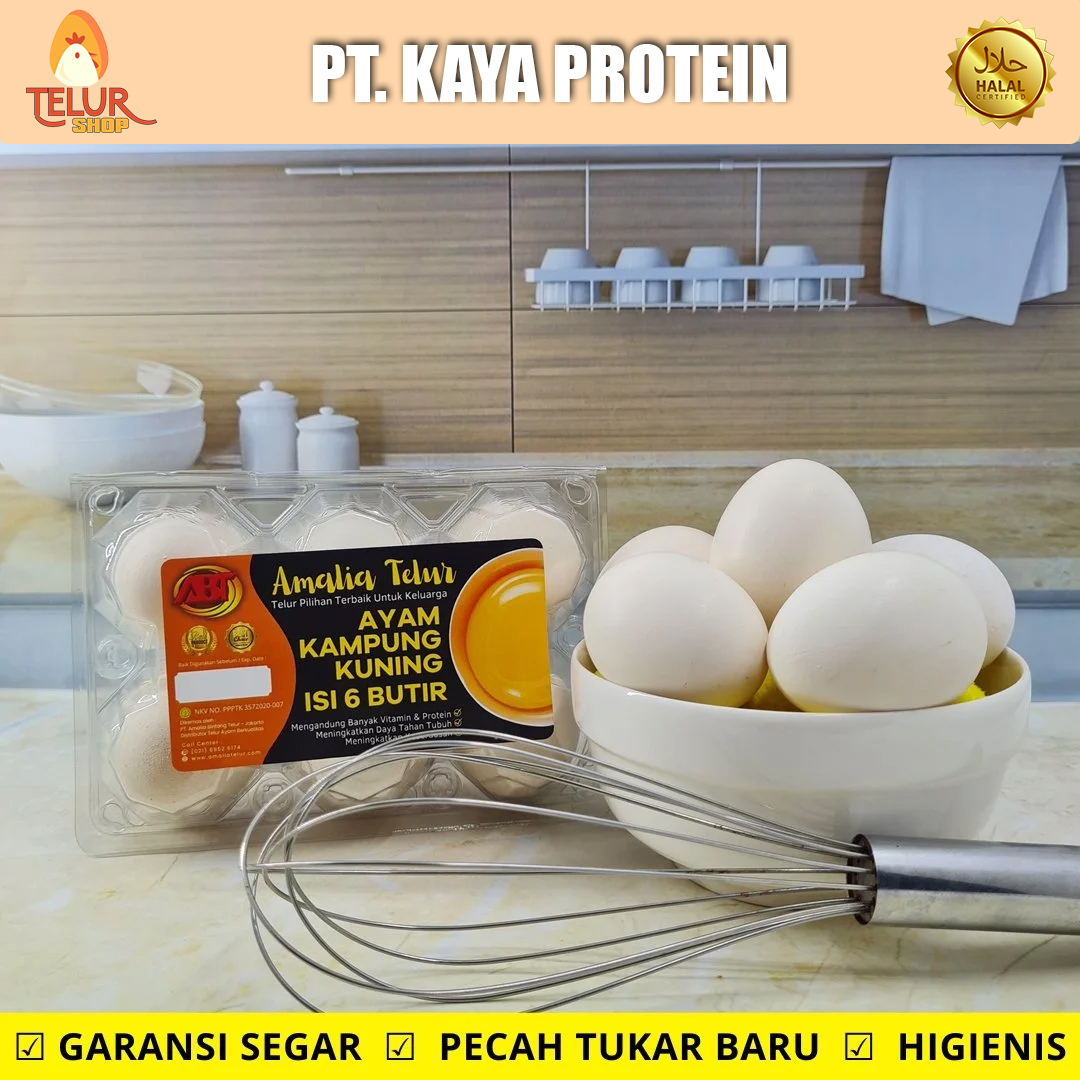 6 Butir – Telur Ayam Kampung Isi Kuning PREMIUM Garansi Segar