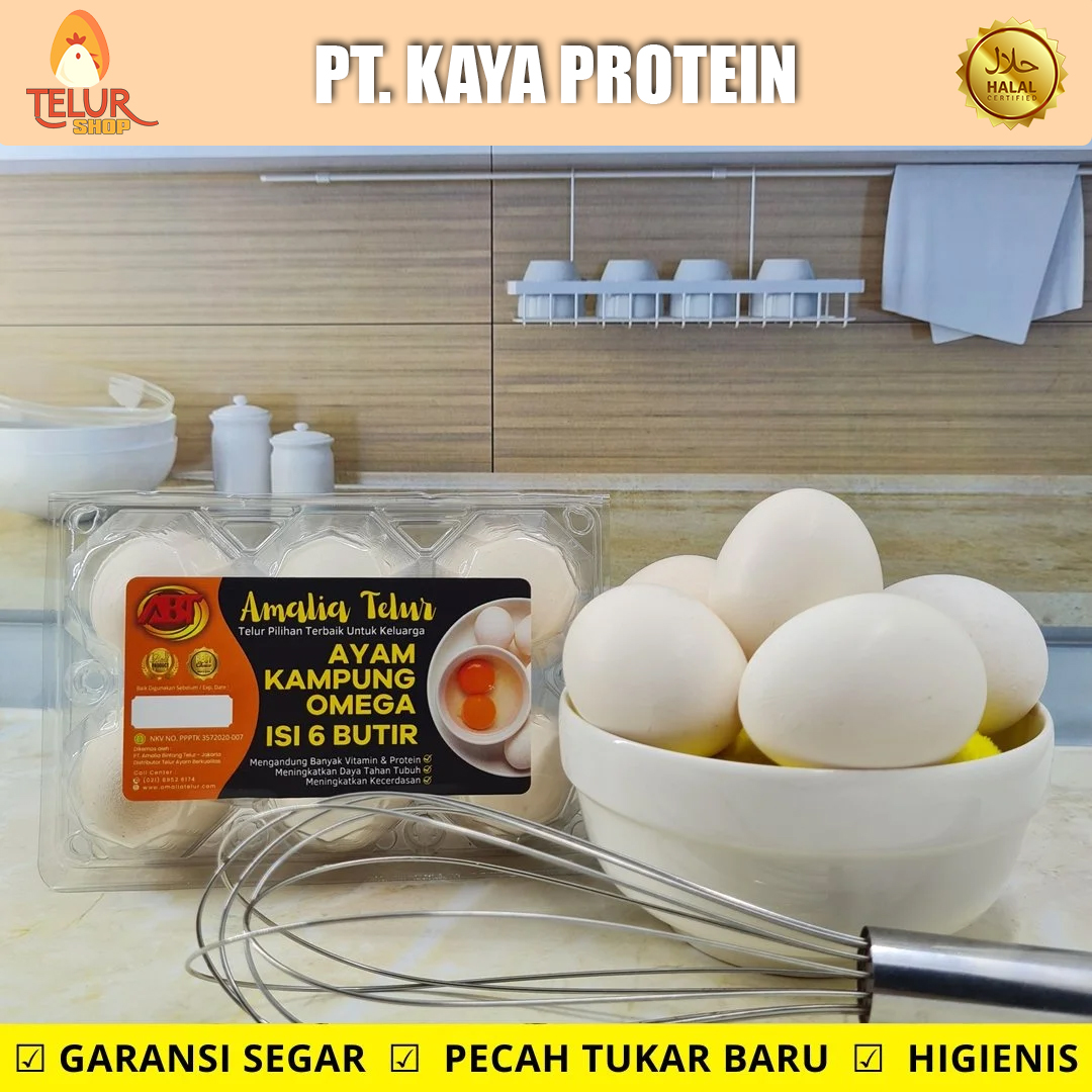6 Butir – Telur Ayam Kampung OMEGA Telur PREMIUM Garansi Segar