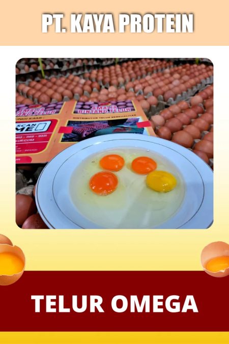 Telur Ayam Kampung OMEGA PREMIUM