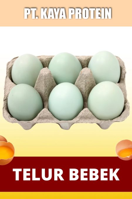 Telur Bebek